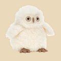Apollo Owl
