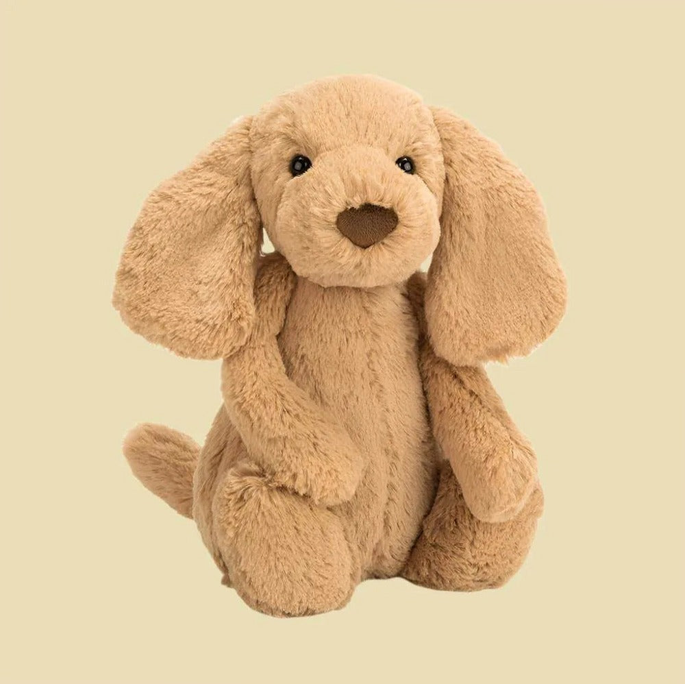 Bashful Toffee Puppy