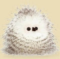 Bertie Owlet