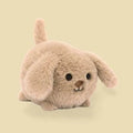 Caboodle Puppy