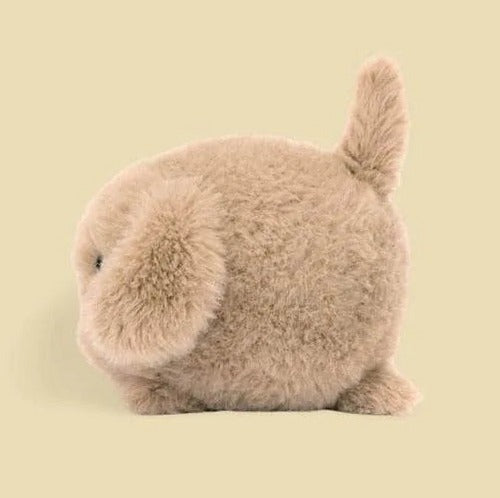 Caboodle Puppy