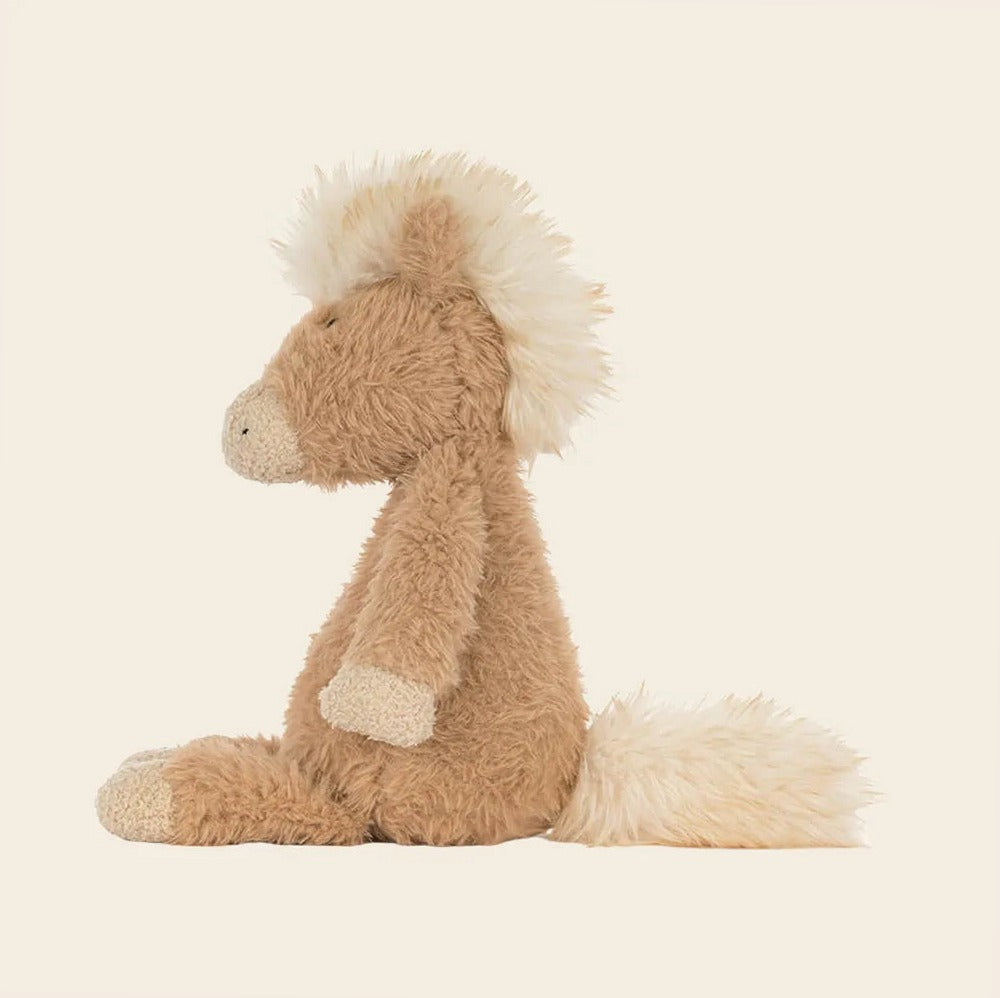 Canterneigh Pony