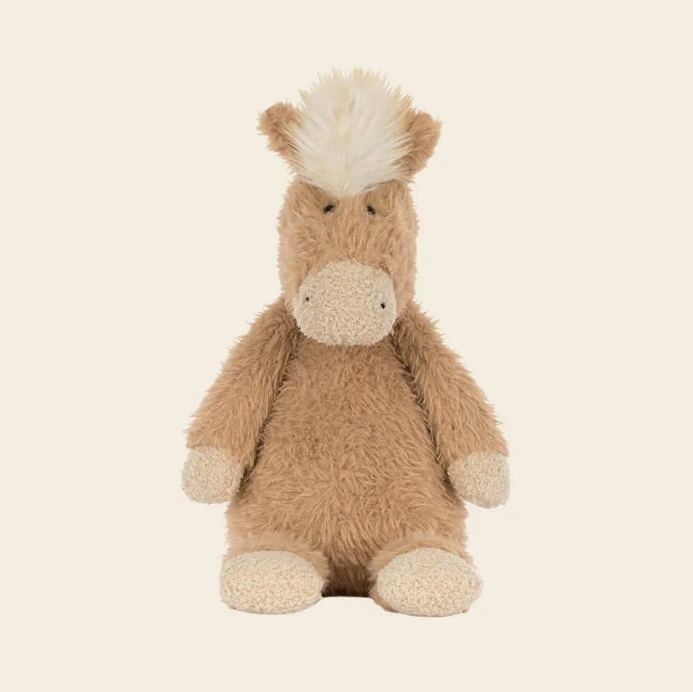 Canterneigh Pony