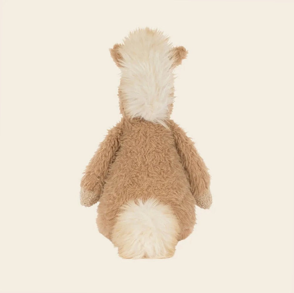Canterneigh Pony