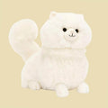 Carissa Persian Cat