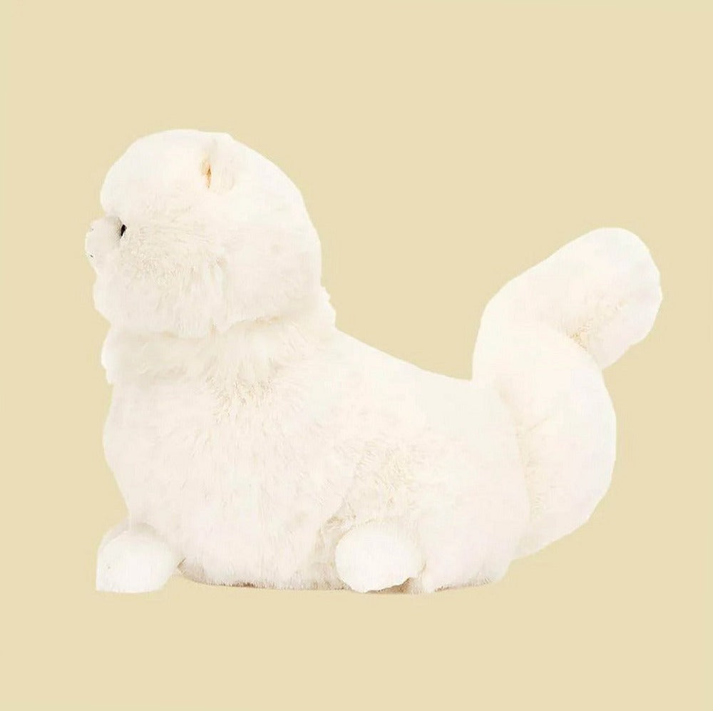 Carissa Persian Cat