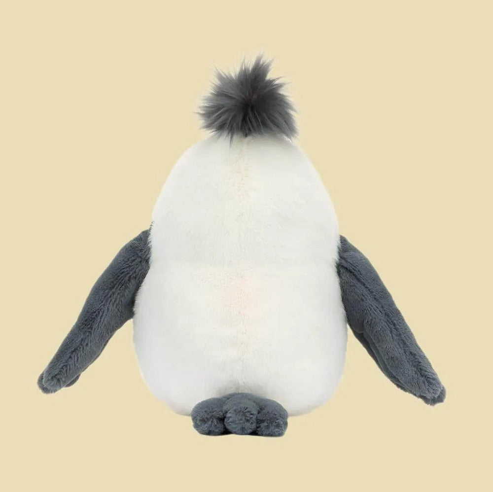 Chip Seagull