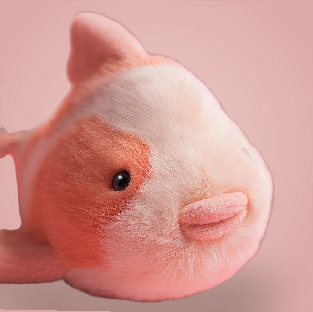 Fancy Carp – soft plush toy, view 2