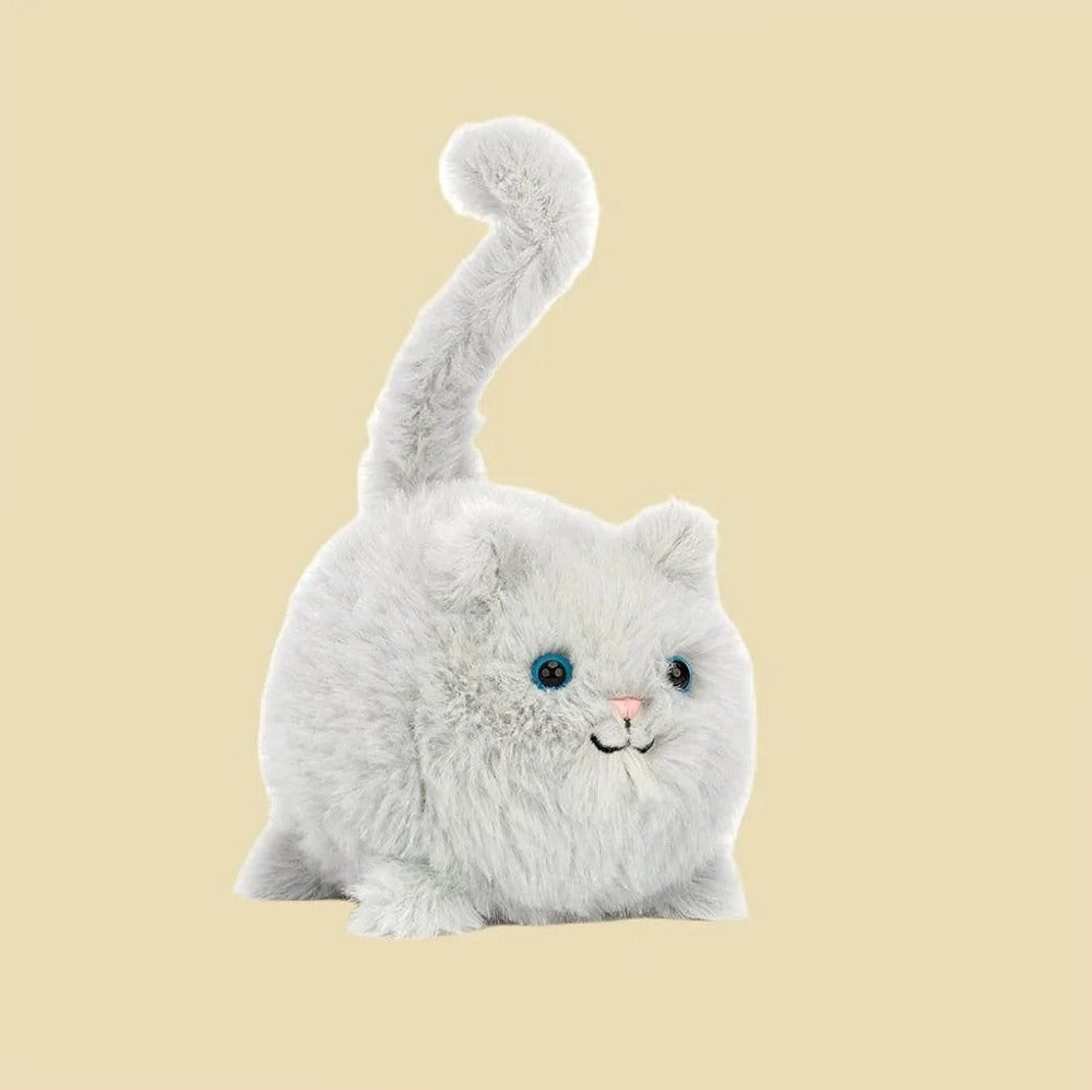 Kitten Caboodle