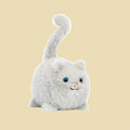 Kitten Caboodle