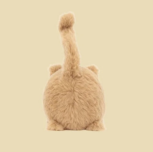 Kitten Caboodle Ginger