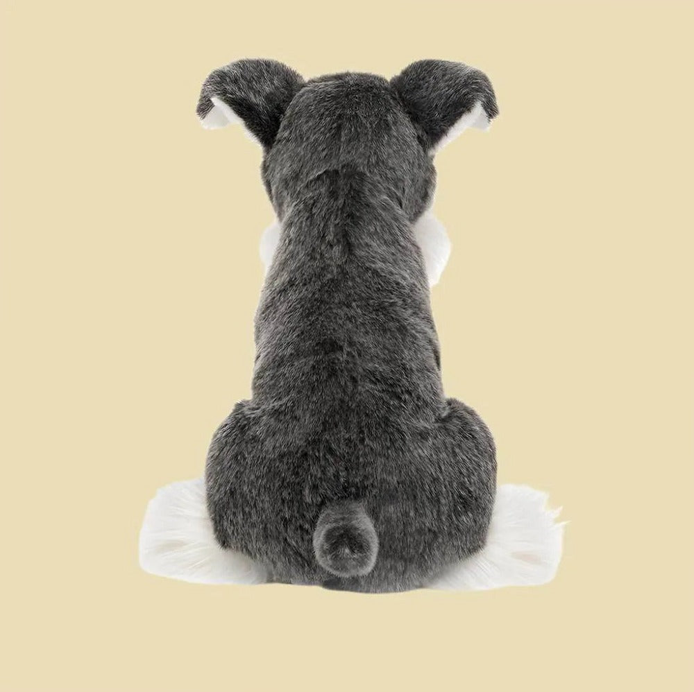 Lawrence Schnauzer