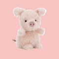 Little Pig