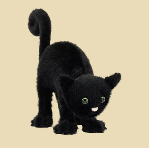 Spookipaws Cat
