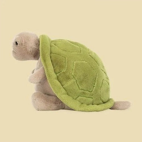 Timmy Turtle