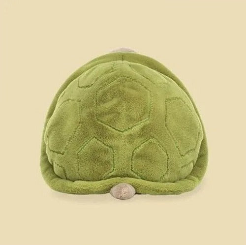 Timmy Turtle