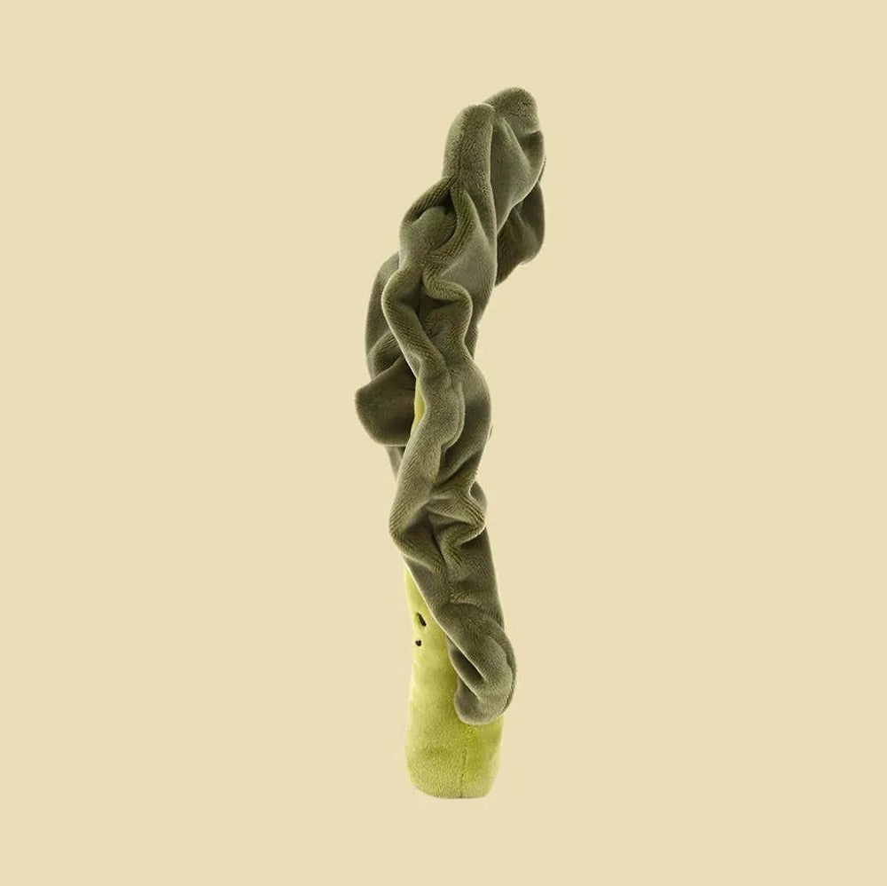 Vivacious Vegetable Kale Leaf